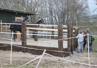 IMG 8979 600x400.jpg