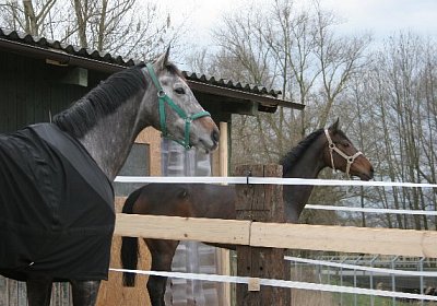 IMG 8998 600x400.jpg