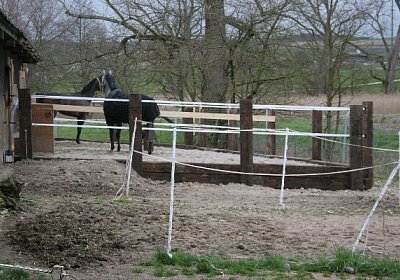 IMG 9024 600x400.jpg