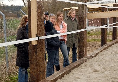 uw auslaufbox 0028 640x427.jpg