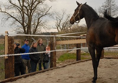 uw auslaufbox 0030 640x428.jpg