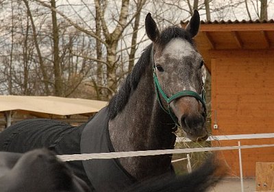 uw jeff le roi 0033 640x397.jp...