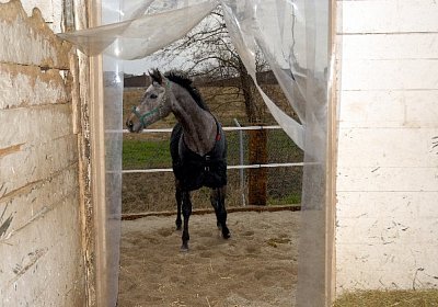 uw jeff le roi 0062 640x418.jp...