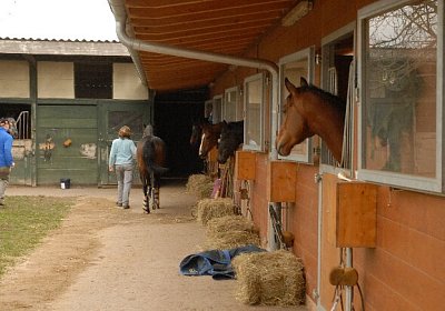 uw zauberlied 0020 640x437.jpg