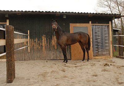 uw zauberlied 0023 640x436.jpg