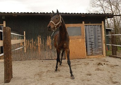 uw zauberlied 0024 640x428.jpg