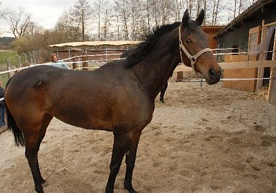 uw zauberlied 0035 640x428.jpg