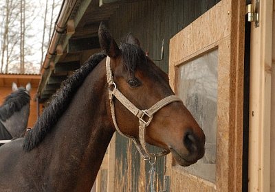 uw zauberlied 0040 640x428.jpg