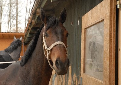 uw zauberlied 0041 640x428.jpg