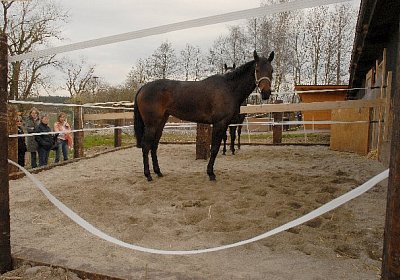 uw zauberlied 0043 640x425.jpg