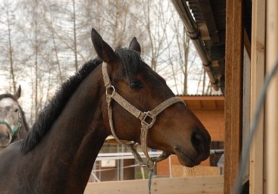 uw zauberlied 0045 640x428.jpg