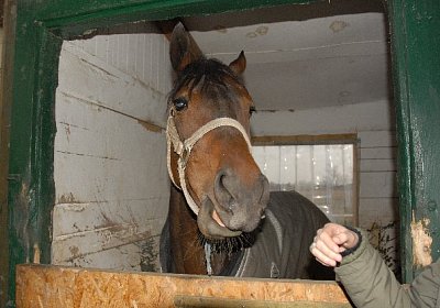 uw zauberlied 0067 640x424.jpg