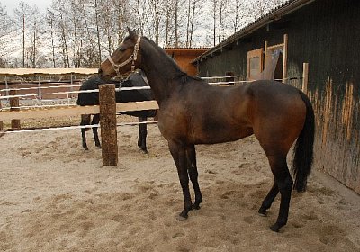 uw zauberlied jeff 0037 640x42...