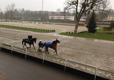 A Training Noci Prince 1