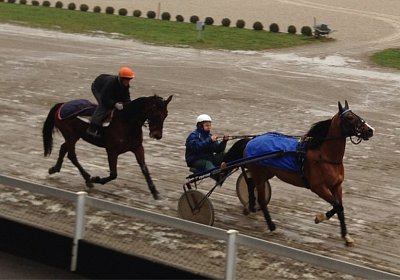A Training Noci Prince 3