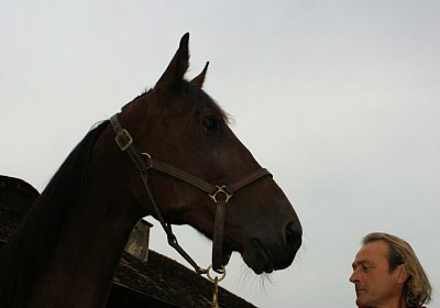 DSC08569 Belgino Franz