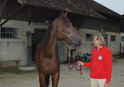 DSC08572 Belgino Franz