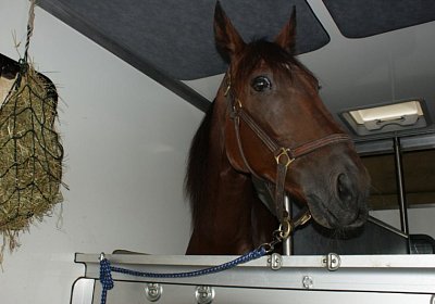 DSC08587 Belgino Faehre