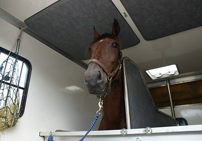 DSC08595 Belgino Ankunft