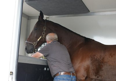 DSC08603 Belgino Ankunft