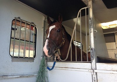 IMG 3764 Earl Burgstallhof