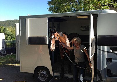 IMG 3774 Earl Burgstallhof