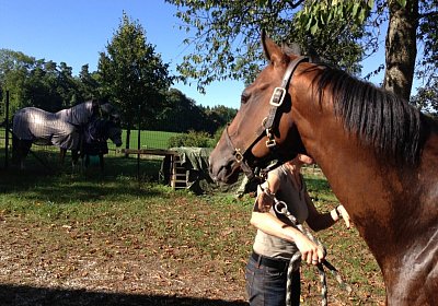 IMG 3781 Earl Burgstallhof