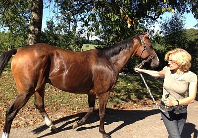 IMG 3783 Earl Burgstallhof