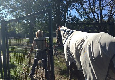 IMG 3787 Earl Burgstallhof