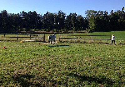 IMG 3805 Earl Burgstallhof