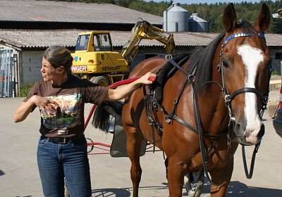 DSC08450 Noci Holziken 24sept13