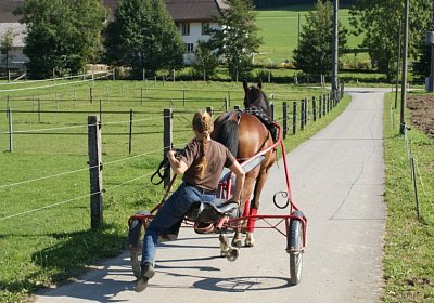 DSC08458 Noci Holziken 24sept13
