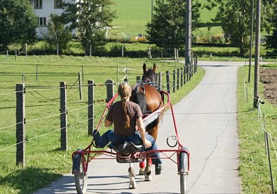 DSC08459 Noci Holziken 24sept13