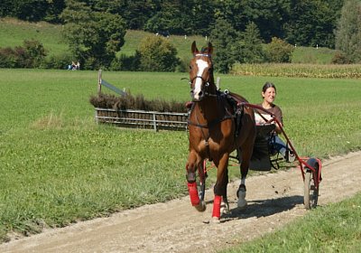 DSC08471 Noci Holziken 24sept13