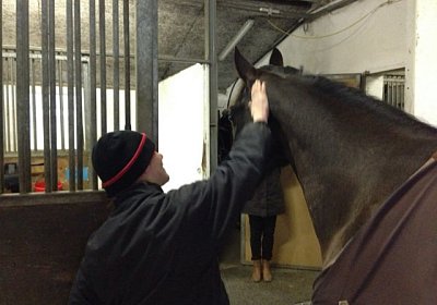 Quito D Stall 3(Kopie)