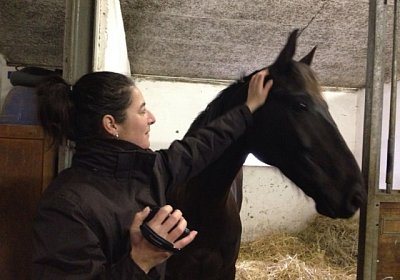 Quito D Stall 5d(Kopie)