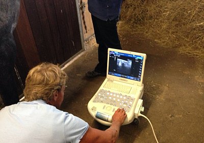 Remedial Ultraschall1