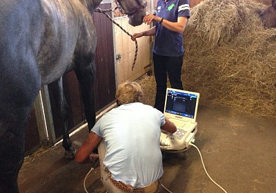 Remedial Ultraschall2