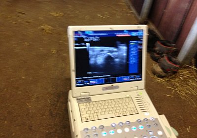 Remedial Ultraschall3