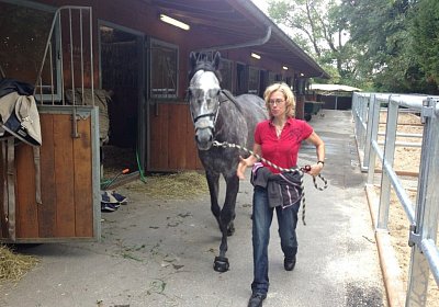 1 Remedial 7sept13 Dielsdorf