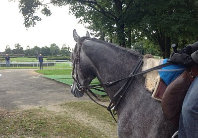 5b Remedial 7sept13 Dielsdorf