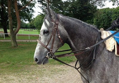 5c Remedial 7sept13 Dielsdorf