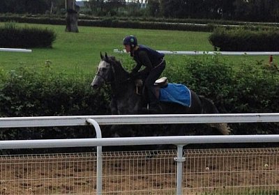 6a Remedial 7sept13 Dielsdorf