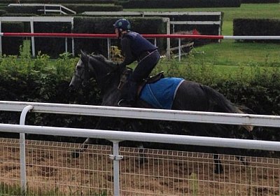 6b Remedial 7sept13 Dielsdorf