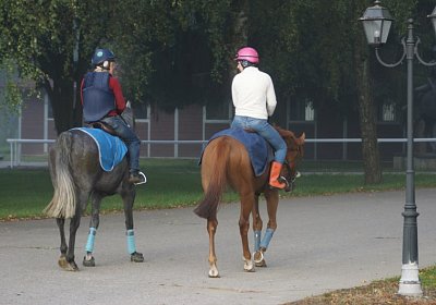 B 1 Gitan Remedial (Kopie)