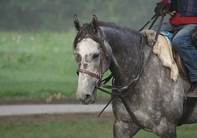 C Remedial 4 (Kopie)