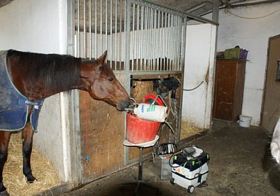 DSC09628 Zahni Belgino