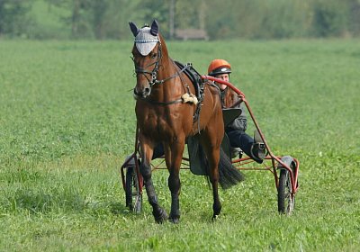 Rebus Training 29 sept14 DSC06426