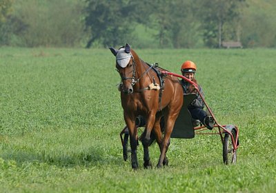 Rebus Training 29 sept14 DSC06428