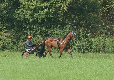 Rebus Training 29 sept14 DSC06437